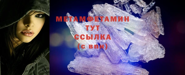 гидра Богородицк