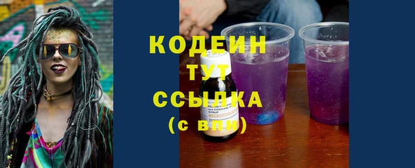 гидра Богородицк