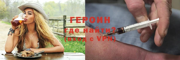 гидра Богородицк