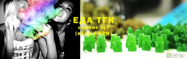 гидра Богородицк