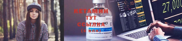 гидра Богородицк