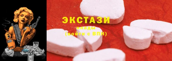 гидра Богородицк