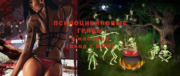 PSILOCYBIN Богородск