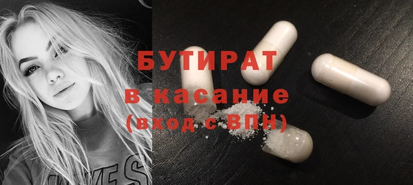 гидра Богородицк