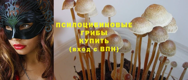 гидра Богородицк