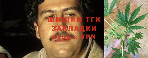 гидра Богородицк