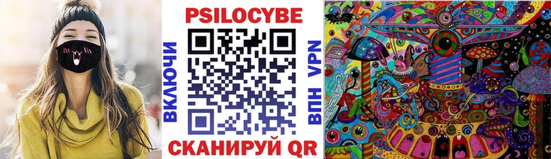 Галлюциногенные грибы Psilocybe  Купить  Новый Оскол 